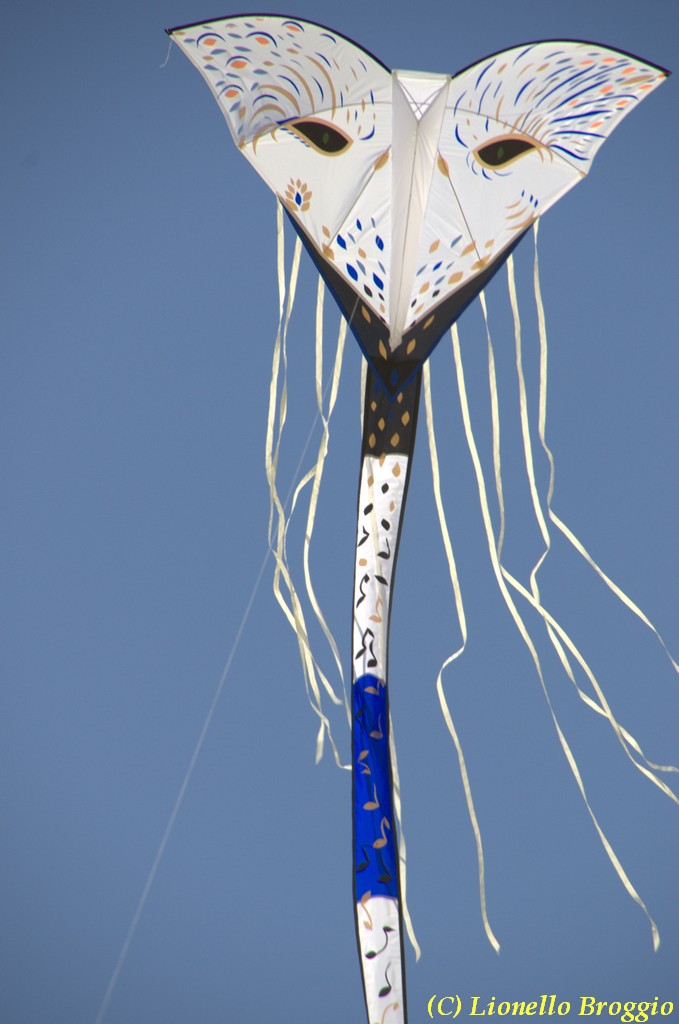 32 FESTIVAL CERVIA 2012 - 239.jpg